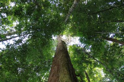 0520sumatra_0542
