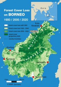 Borneo Forest Loss, WWF