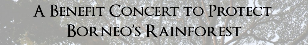 concerttitle