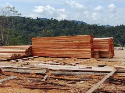 Wood-prepared-by-Ba-Payau-residents-to-build-their-house.