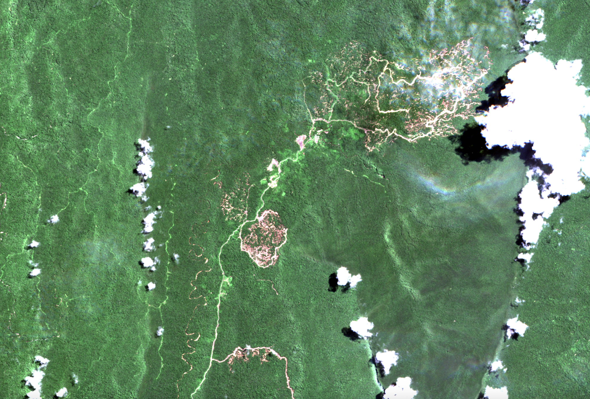 satellite image of ongoing logging operations in ba data bila