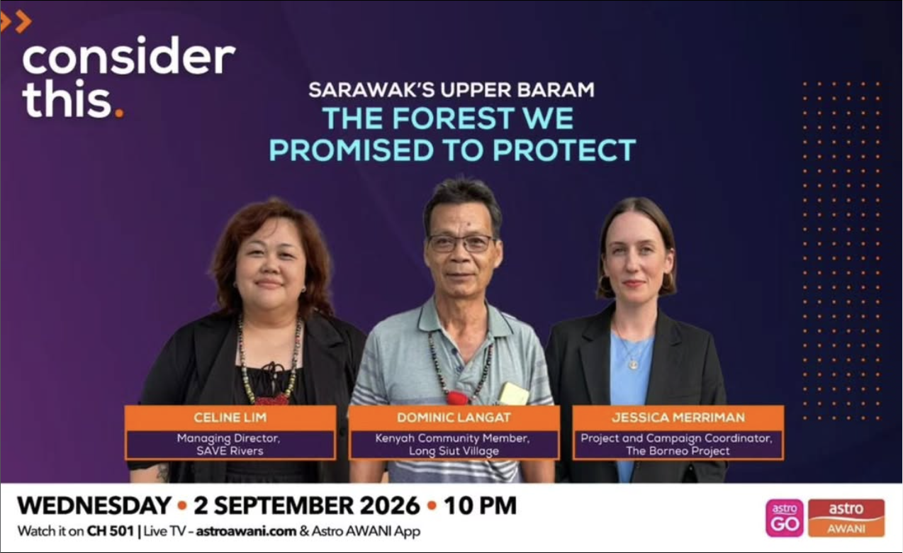 Youtube cover page "the forest we promised to protect" featuring celine lim, dominic langat, and jessica merriman