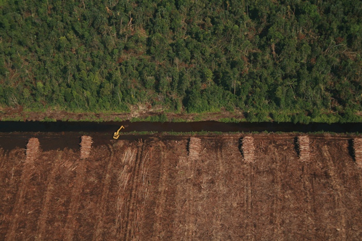 Immense emissions result from clearing on deep peat, here by an APRIL supplier in Kampar, Sumatra © Eyes on the Forest